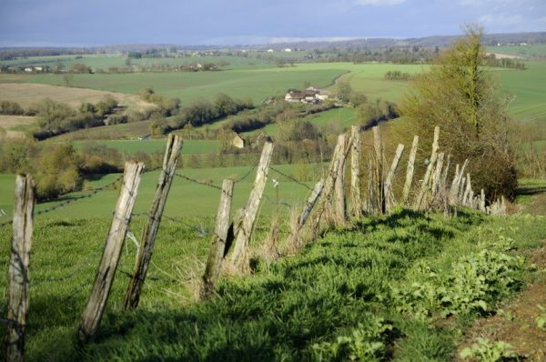 Paysage percheron