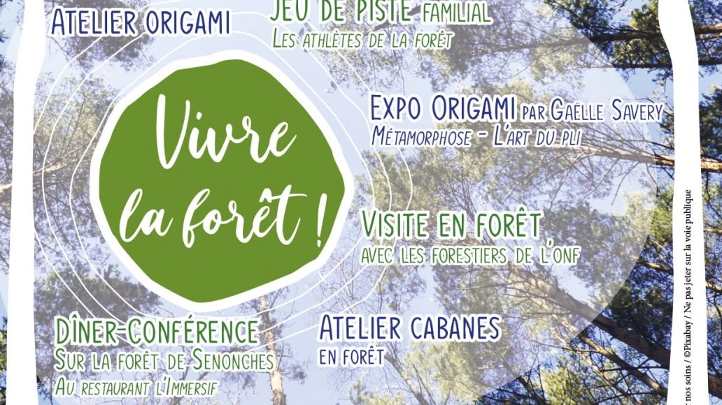 Affiche Journées Internationales des Forêts à Senonches