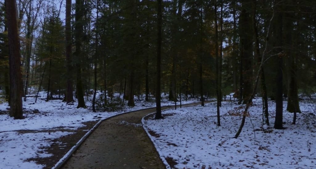 Affiche de la rando blanche à Senonches dans le Perche