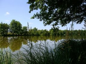 Vue sur l'étang de rouge de La Puisaye