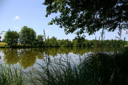 Vue sur l'étang de rouge de La Puisaye