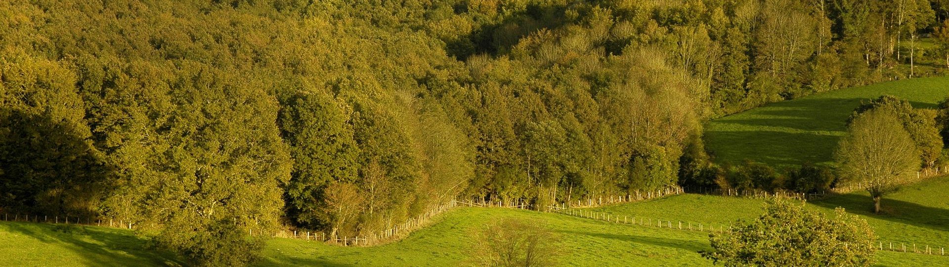Le Perche et ses paysages 