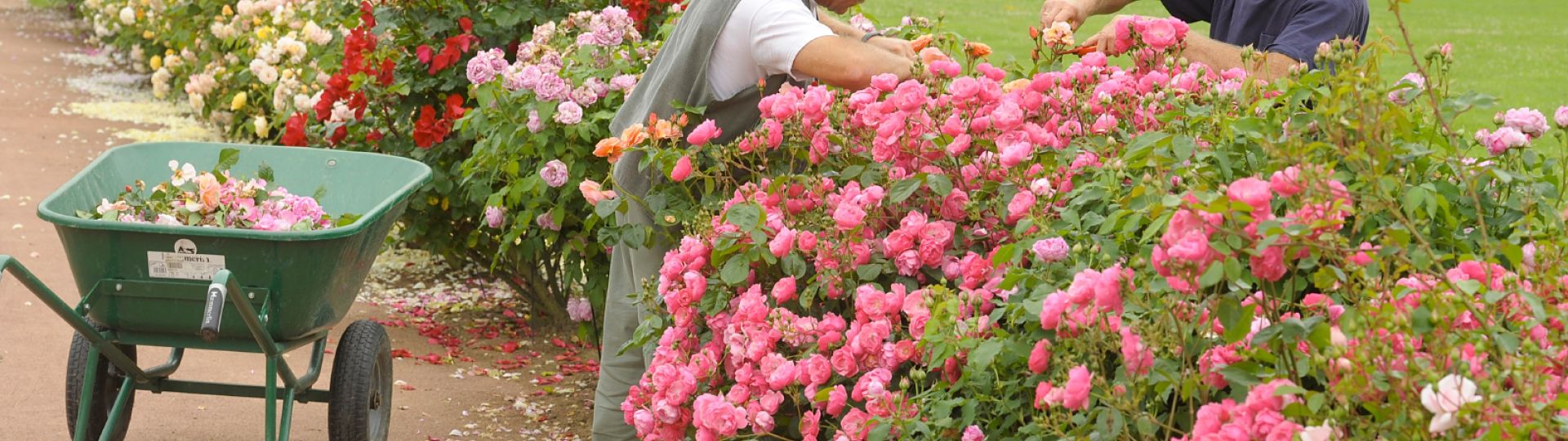 Jardins de l'abbaye de Thiron-Gardais dans le Perche