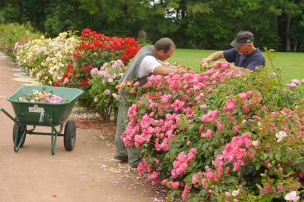 Jardins de l'abbaye de Thiron-Gardais dans le Perche