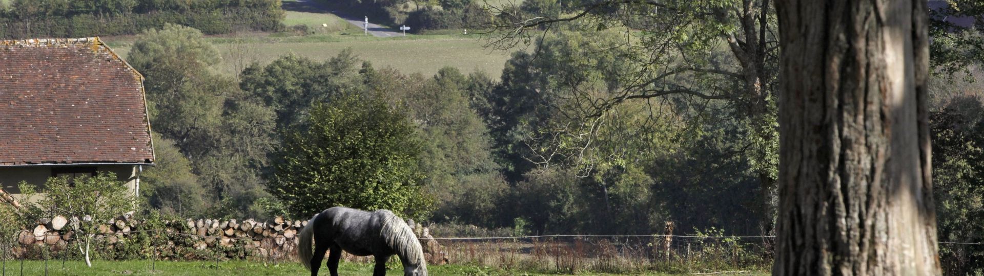 Le perche et son symbôle, le cheval percheron