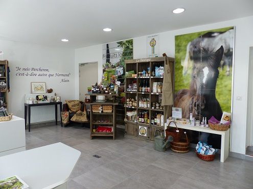 Intérieur de l'OT de Nogent le Rotrou et sa boutique