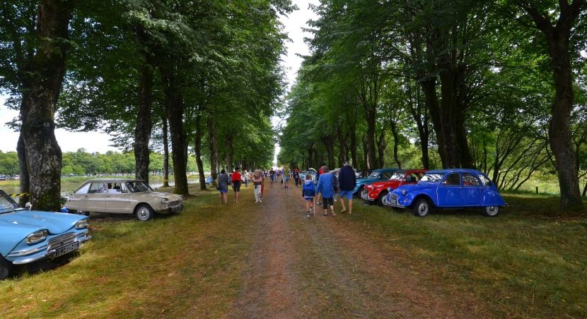 vue sur une allée du parc du château