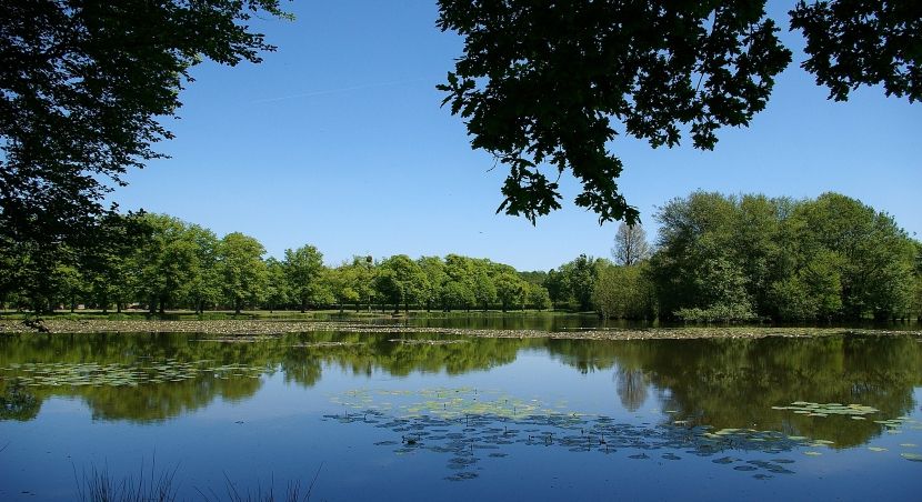 Plan d'eau du miroir, La Ferté-Vidame, Perche