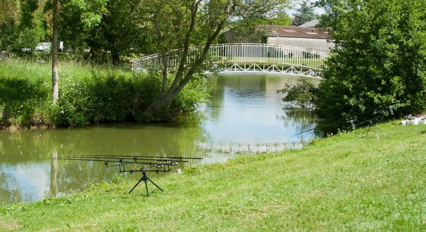 Vue sur le plan d'eau de Souancé-au-Perche, dans le Perche