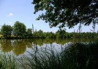 Etang de Rouge à La Puisaye dans le Perche