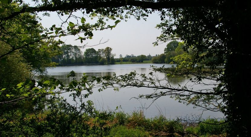 Etang neuf à La Ferté-vidame dans le Perche