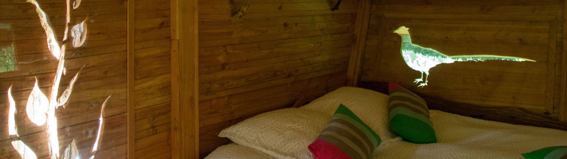 Une nuit en cabane perchée dans le Perche