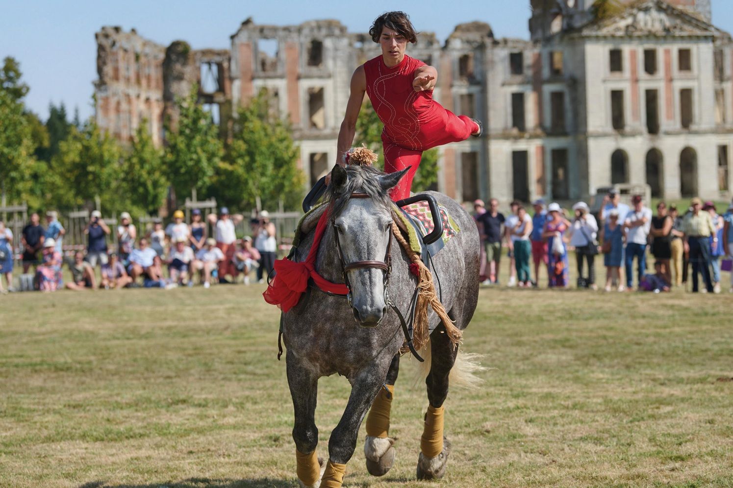 Voltige à dos de cheval percheron