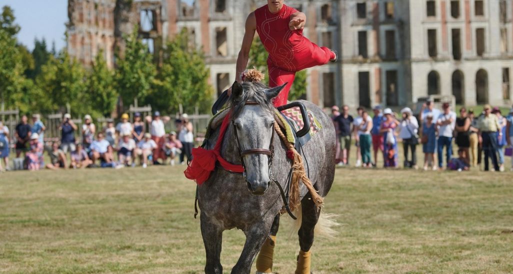 Voltige à dos de cheval percheron